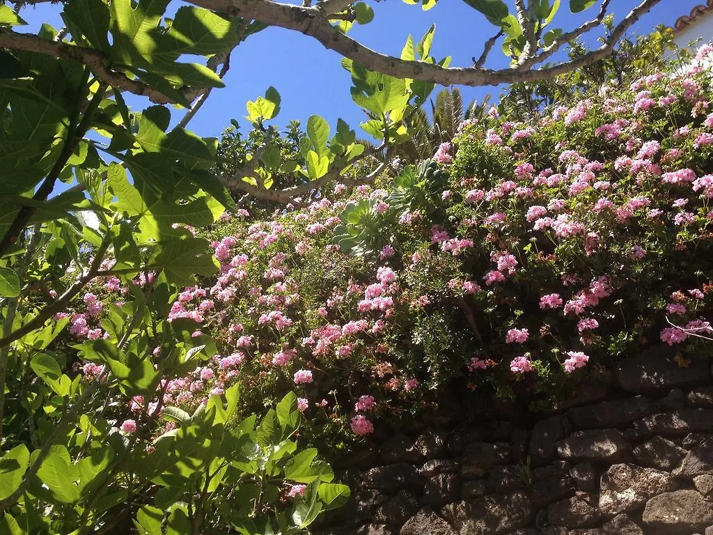 Bed and Breakfast Finca Los Geranios Tegueste Spanien