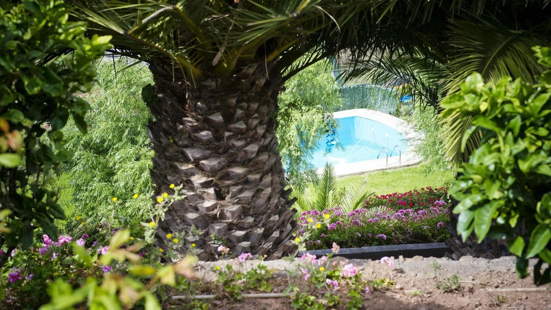 Bed & Breakfast Finca Los Geranios Las Mercedes